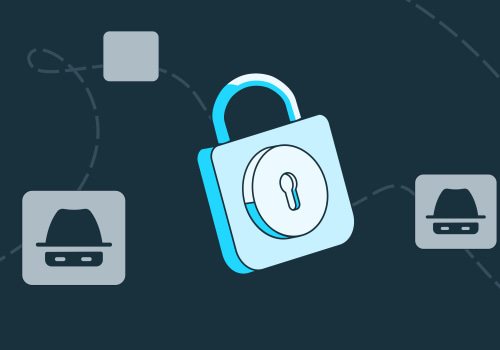 Identity Theft Detection Techniques